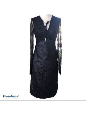 NWT LIN Edition Limit Sheer Lace and Velvet Dress